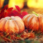 fotolia 123081085 cropped